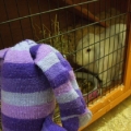 Blog 3