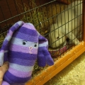 Blog 3