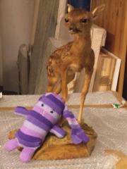 Blog 3