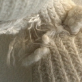 print16